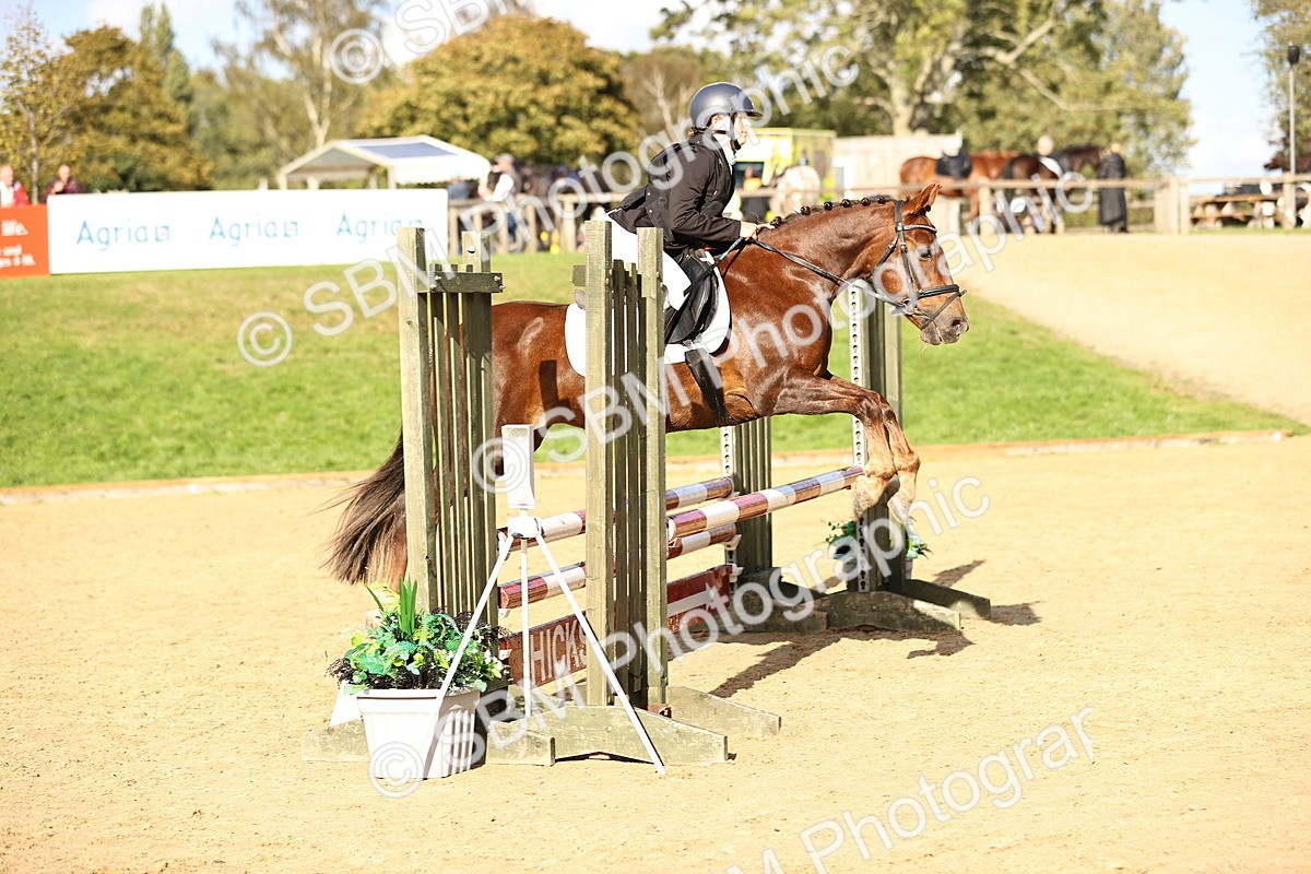 SBM_51419 - J10 - Junior Pony 75cm Championship