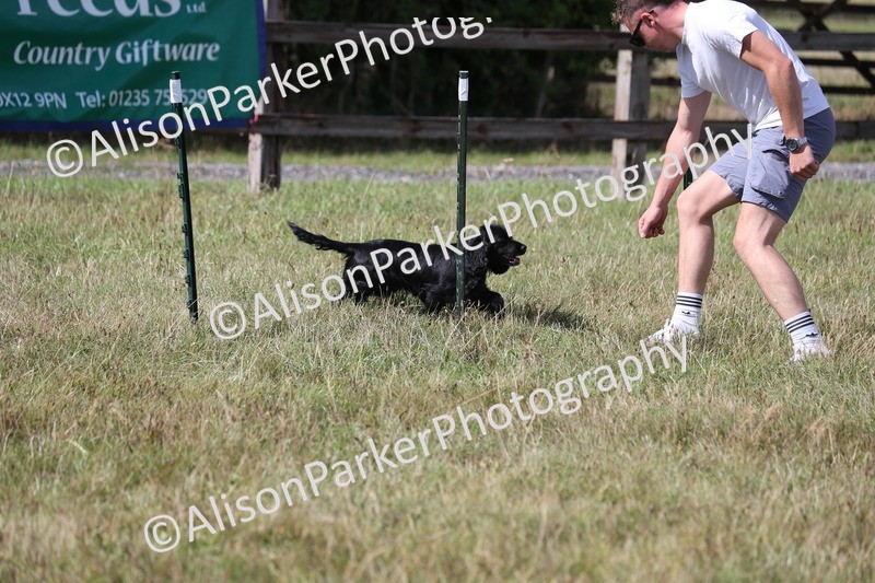 20260906-3446 - Class 34 - Dog Agility