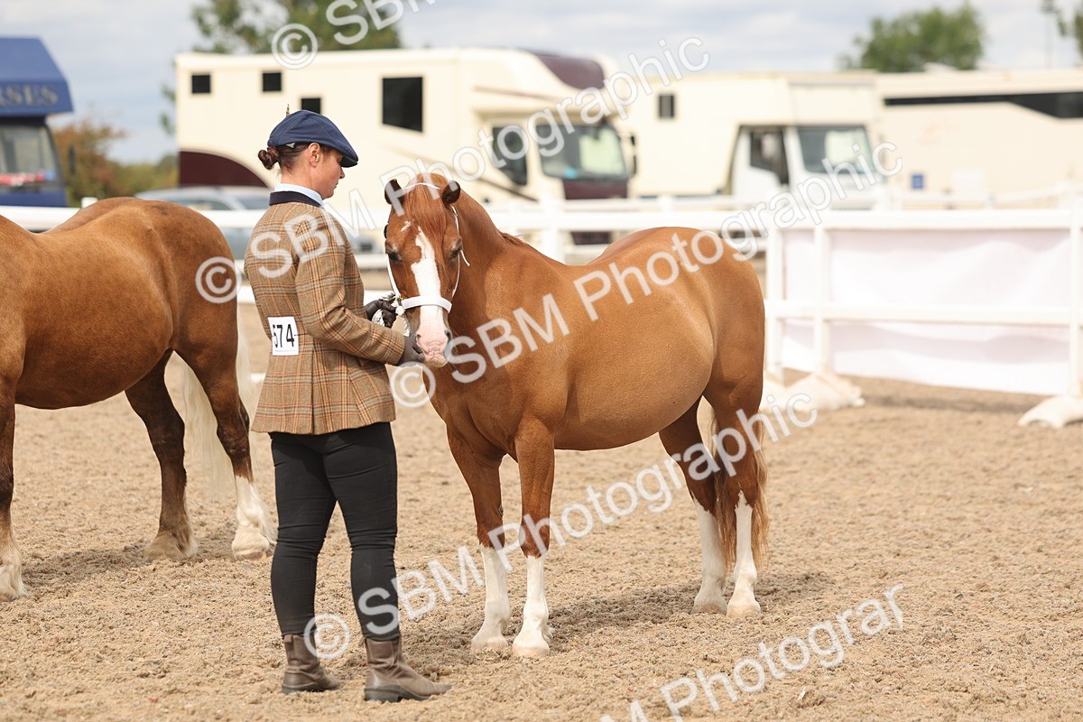 SBM_05012 - Class 20 - IH Veteran
