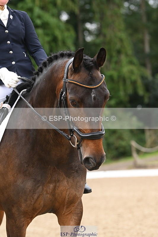 250720A-121001-10146 - 098-Becky.Littleton-Optical.Illusion