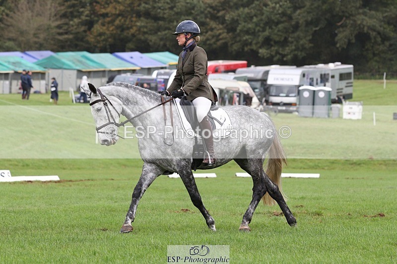 231019-152926-04894 - 553-HARLEQUIN.RABBIT-Althea.Bleekman-DR