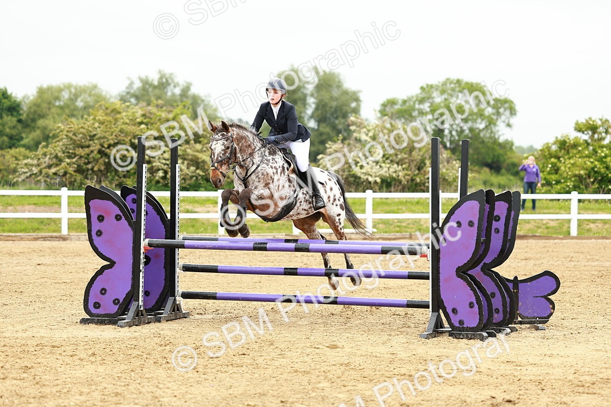 SBM_000351 - Class 2 - Senior British Novice - 90cm