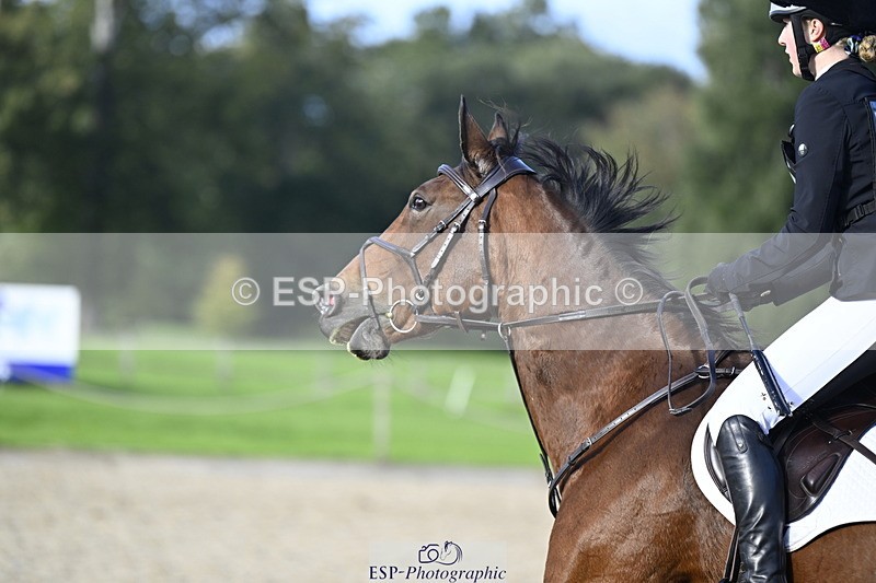 251005A-161642-05050 - Cls 10 Int 90-95cm