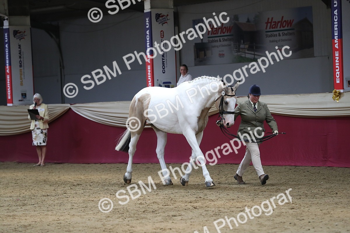 SBM_06228 - Class 9R Regional- IH Pre Vet