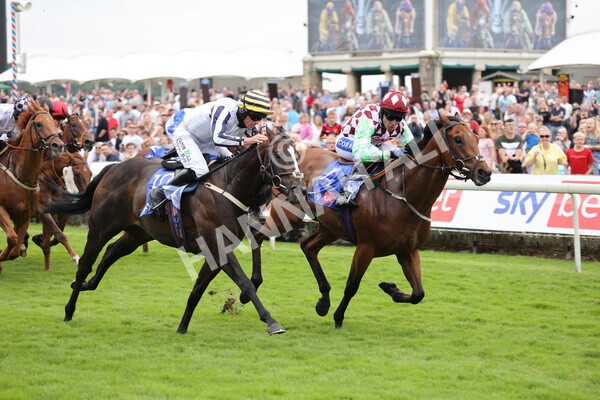 yr24072021r1-77 - Race 1 2.05pm Sky Bet Jump Jockeys Nunthorpe