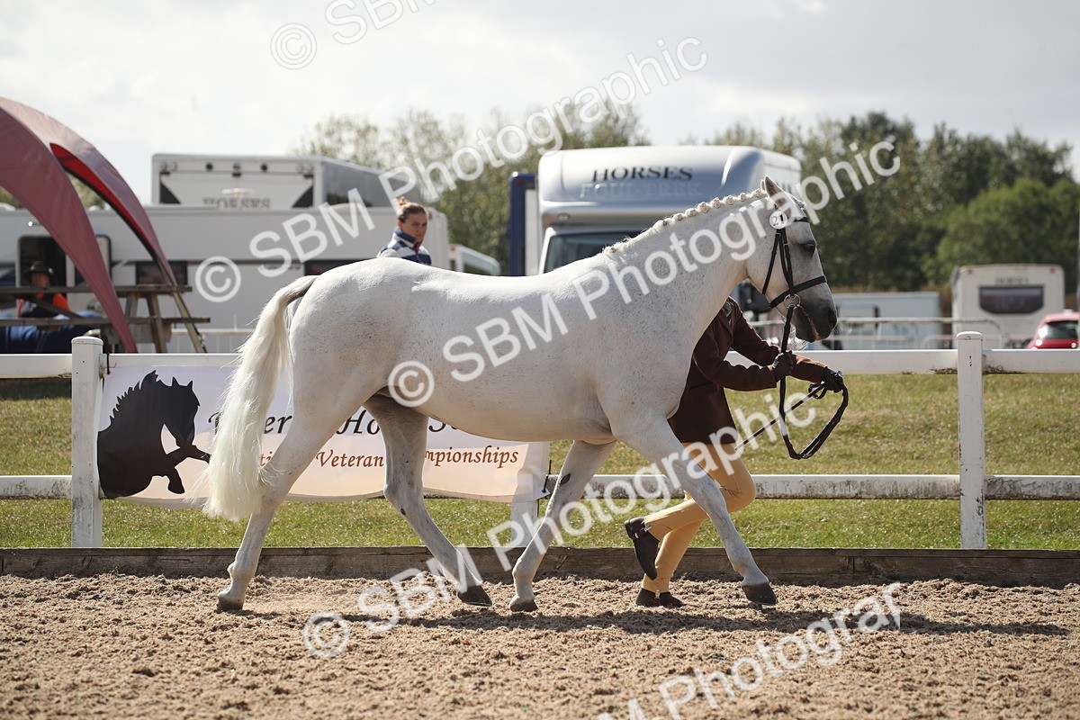 SBM_23523 - Class 605 - 2026 - Area - IH Veteran