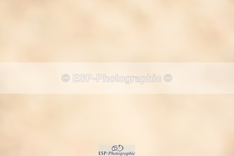 230423A-112016-08741 - Sunday Cls 24