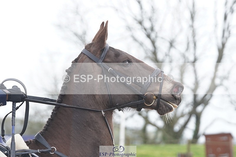 250419-113354-09417 - 413-Suzie.Mcgeorge-HORGANS.MAYFLOWER