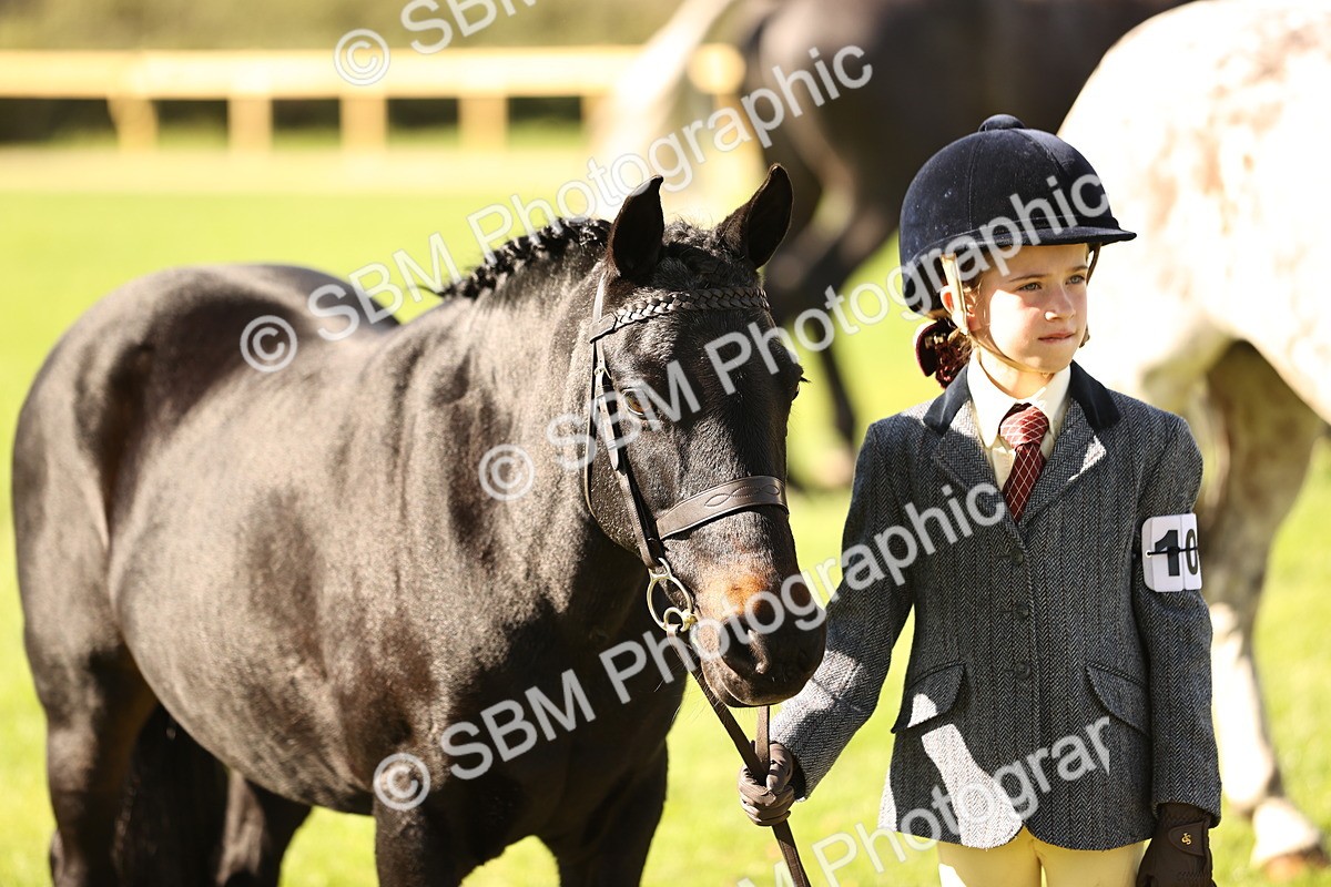 SBM_26196 - S5 - Novice & Newcomers In Hand