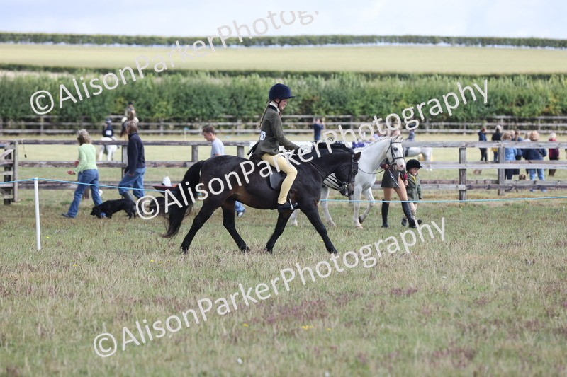 20250831-1164 - Class 15 - Ridden Veteran