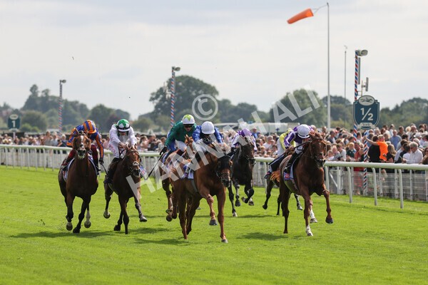 yr18082021r3-52 - Race 3 3.00pm Sky Bet Great Voltigeur Stakes