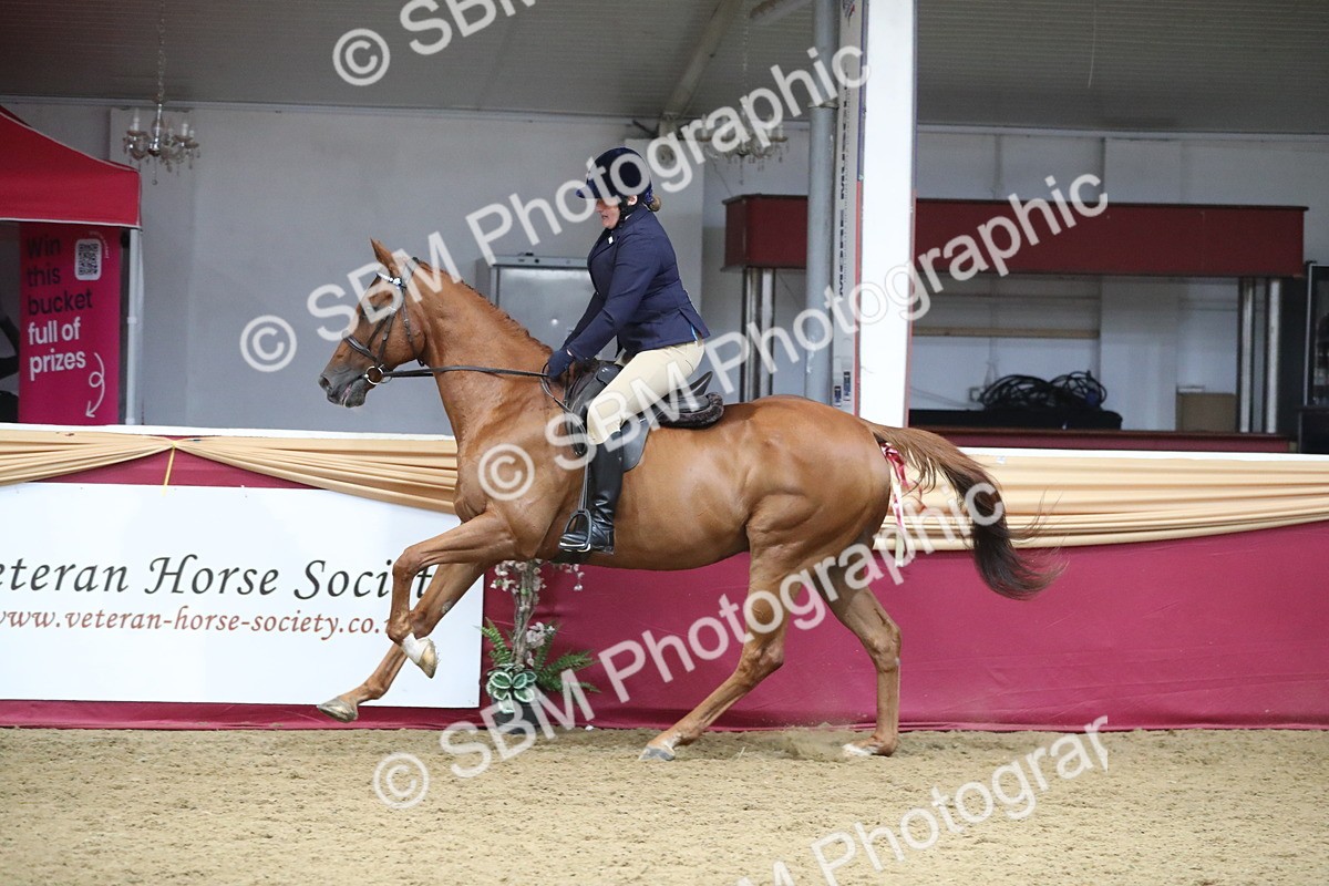 SBM_12351 - Class 108 Ridden Retired Racehorse- Pre Judging