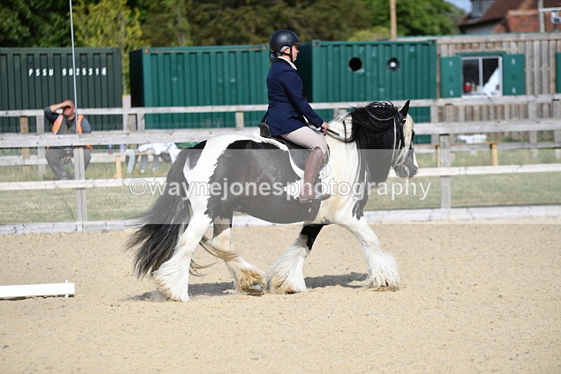 WJ5_7716 - Time 16:40 to 16:55