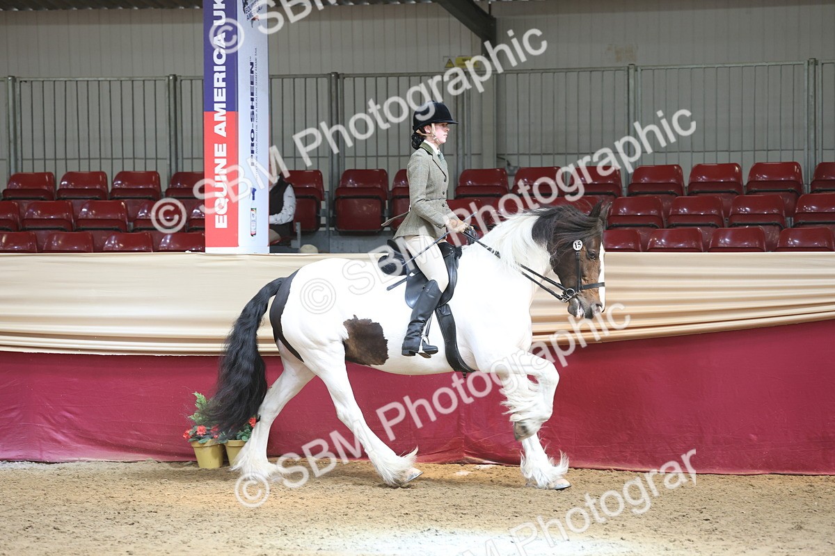 SBM_23753 - class 906 - Supreme Final - Ridden Pre Vet