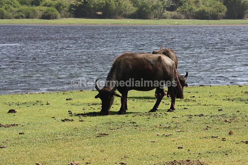  - Travel and culture