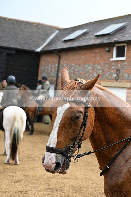 WJ7_6955 - Berks & Bucks at Blandy’s Farm 31-08-25