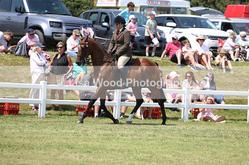 3E7A9417 - Class 12: Open Racehorse to Show Horse