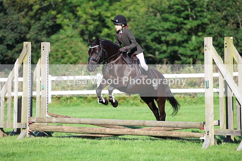 3E7A7478 - Class 1: Novice Working Hunter Pony