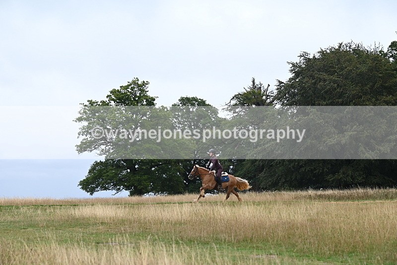 DSC_0144 - Time at Statue 09:51 to 10:54