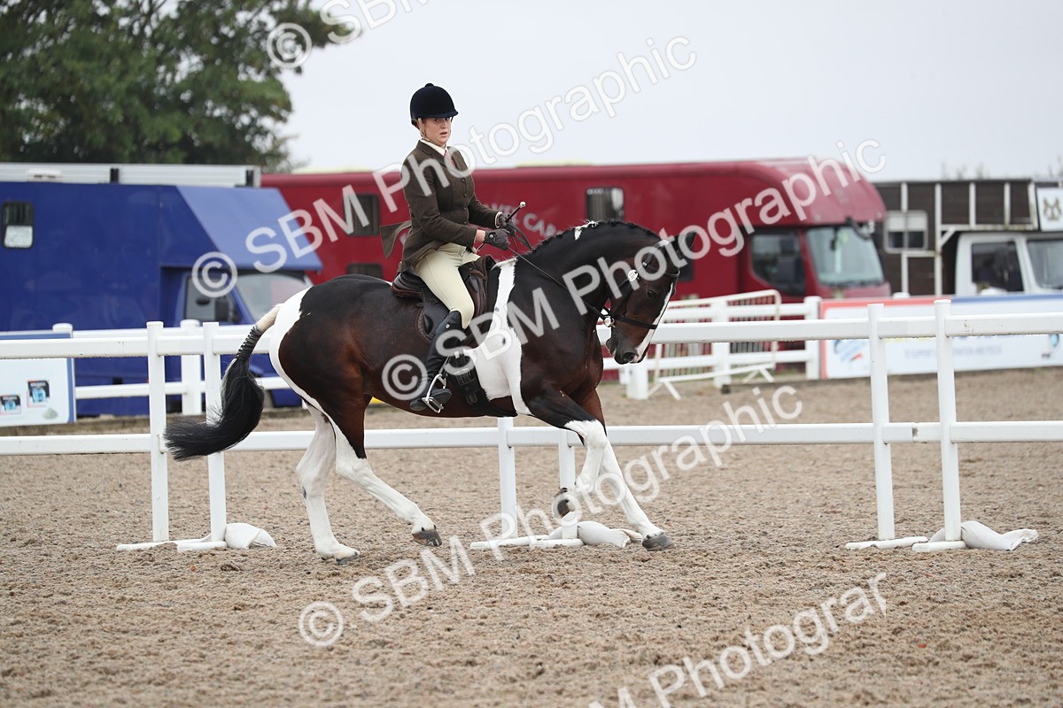SBM_21962 - Class 603 - 2025 Area Ridden Pre Vet