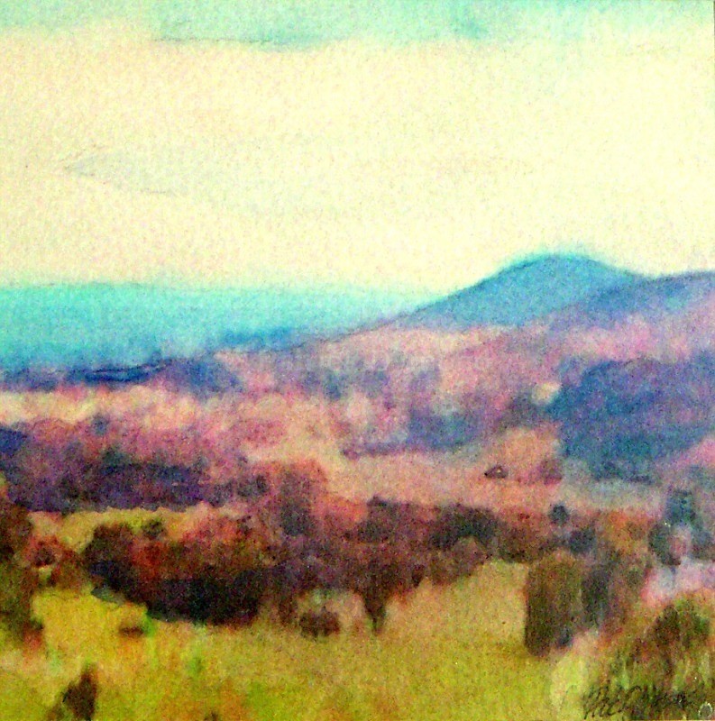 Mytton Dingle - Stiperstones - Shropshire