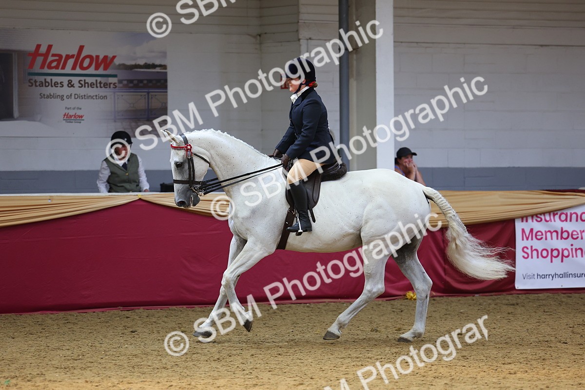SBM_24666 - Class 906 - Supreme Final - Ridden Pre Vet