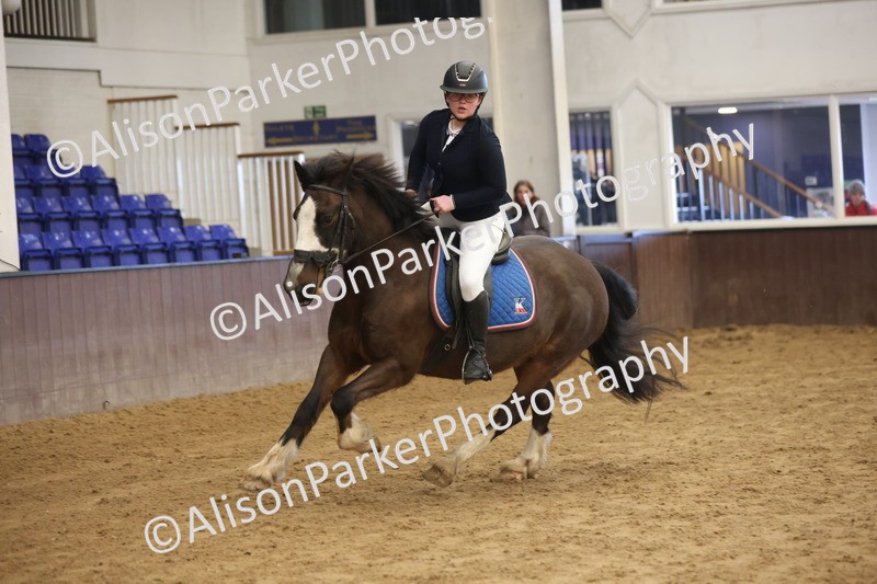 20260314-0479 - 60cm