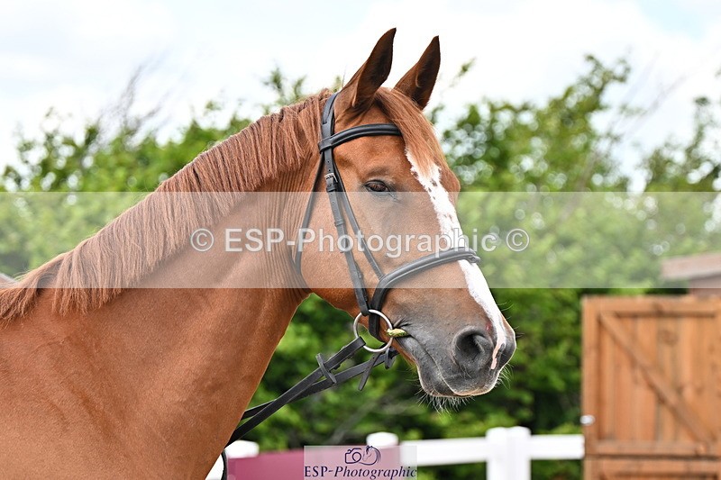 240718A-105308-01619 - Trot Up 1pm to 2pm