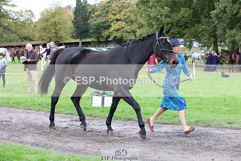 251026A-110245-23472 - F-434-Alexandra.Erskine.Scott