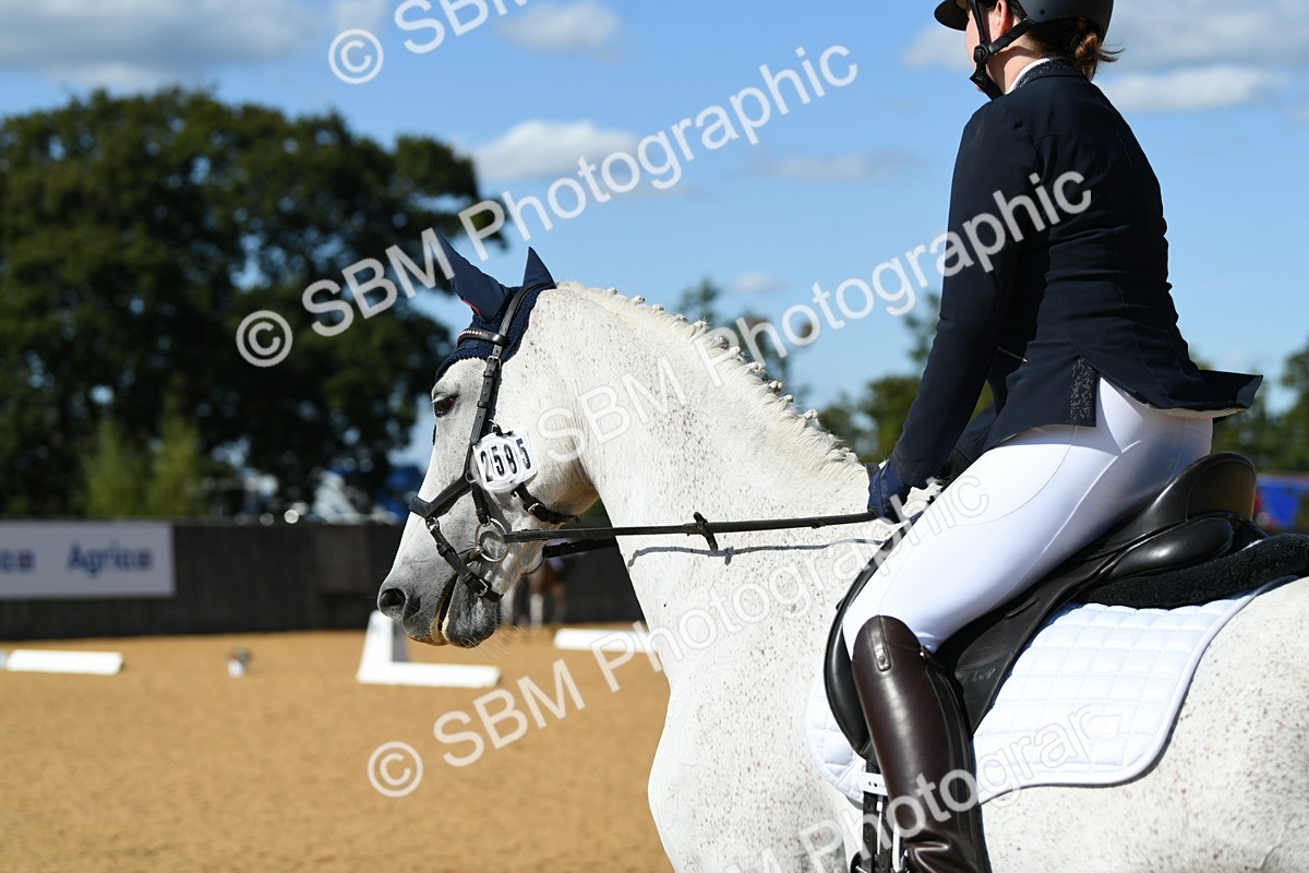 SBM_24708 - D13 - Grand Tour Championship - Prelim 12