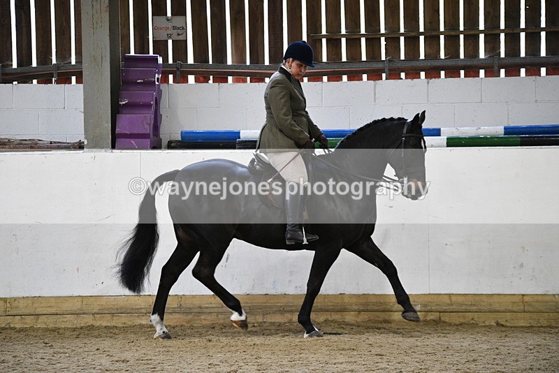 WJ5_6114 - Class 9 Ridden Veteran