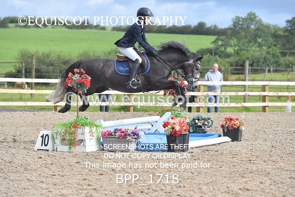 BPP_1718 - DERBY CLASS 4 - 50CM