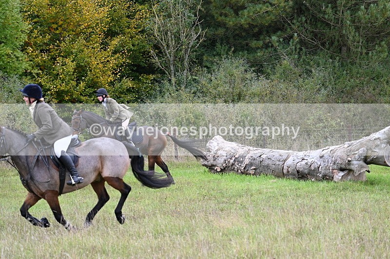 WJ7_3852 - Camera 1 Line 1