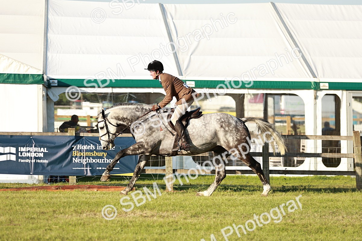 SBM_20494 - Class 117-119 - Sport Horse Working Hunter