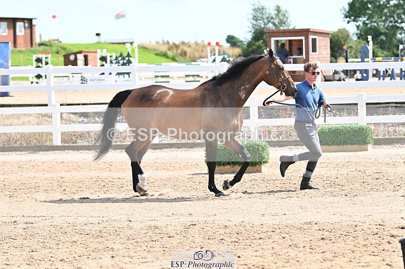 240717A-152228-02793 - Trot Up 3pm to 4pm