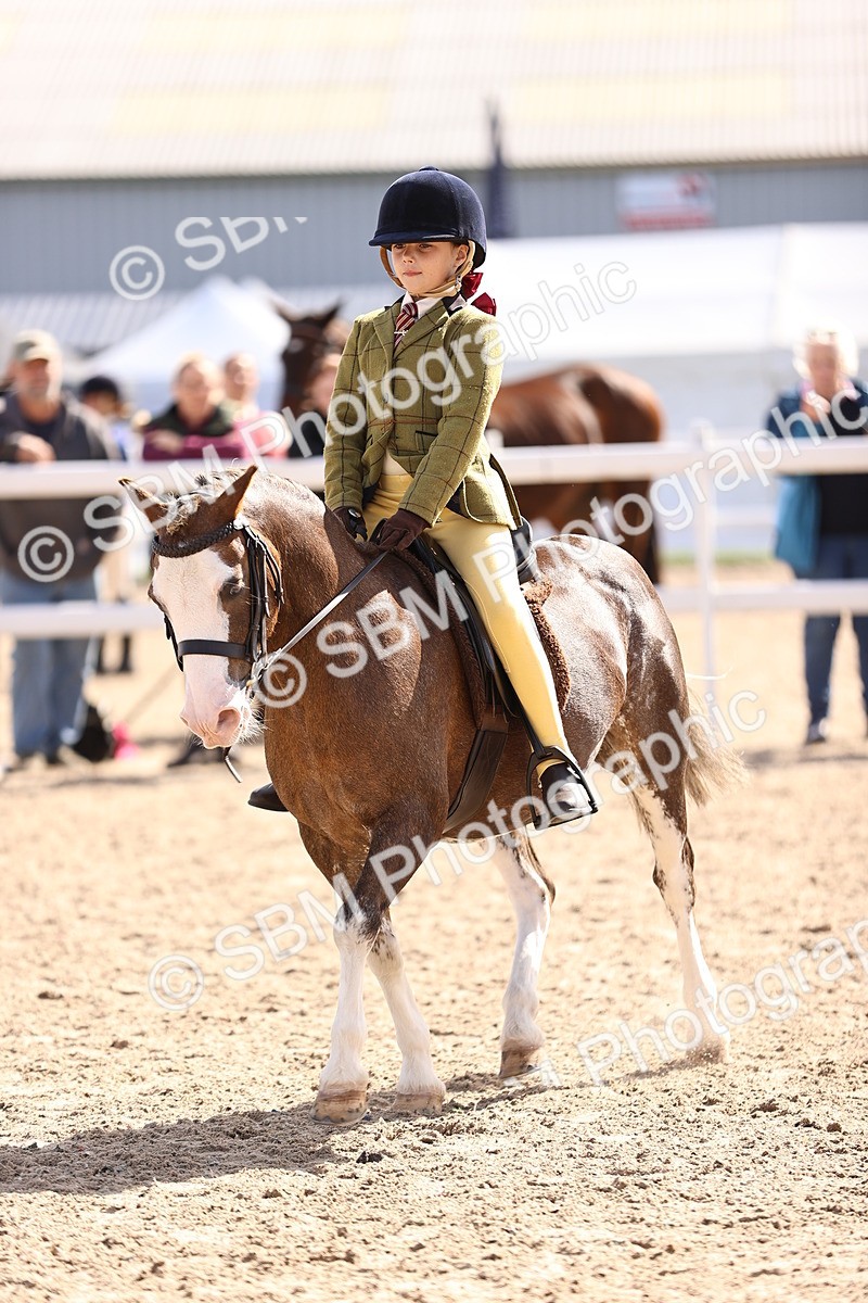 SBM_11618 - Class 408 - Grassroots Ridden - Walk & Trot