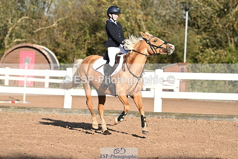 241026A-103401-00186 - SAT Cls 3 Pony Intro 70cm