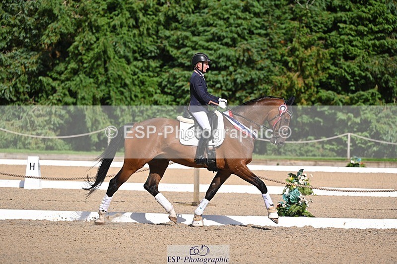 240809-163705-02451 - Novice Gold