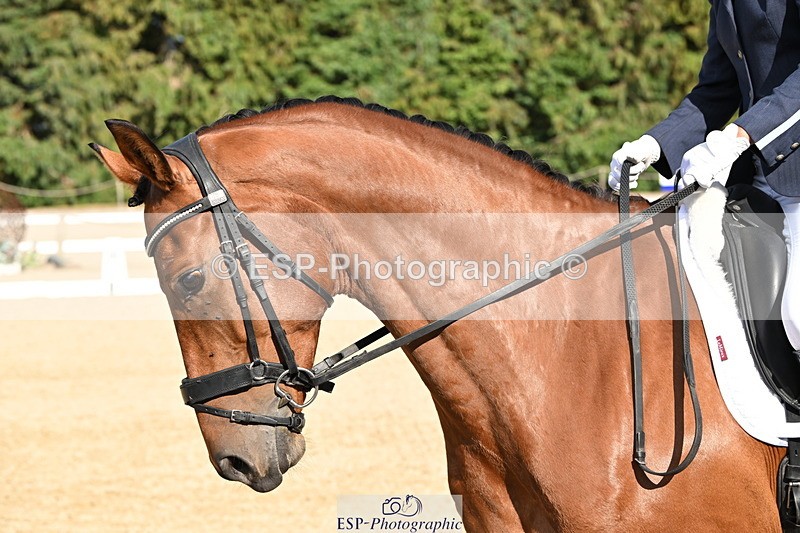 250808A-170416-02232 - Preliminary GOLD Presentations