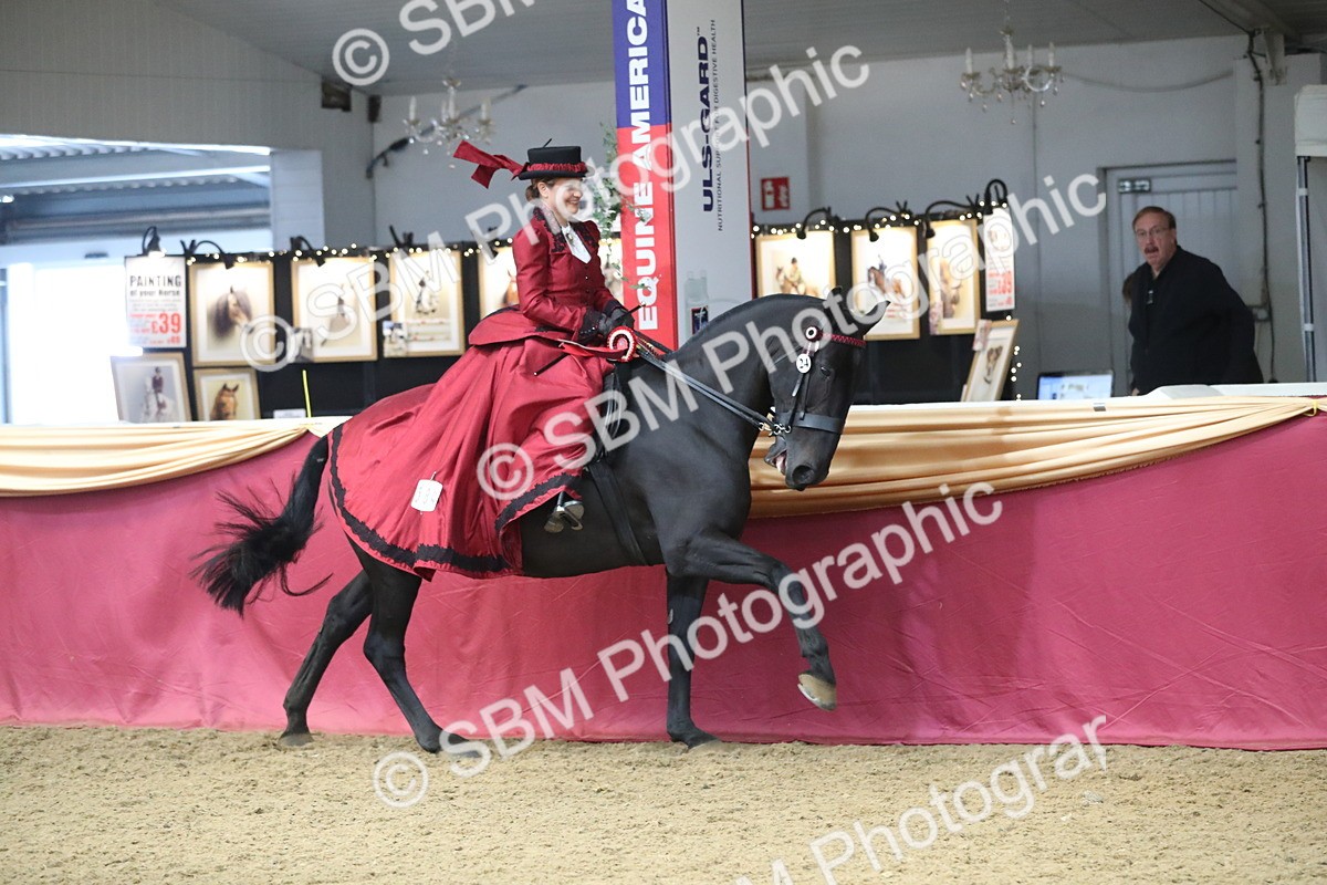 SBM_12216 - Class 107 Ridden Costume- Astride Adult (20+)