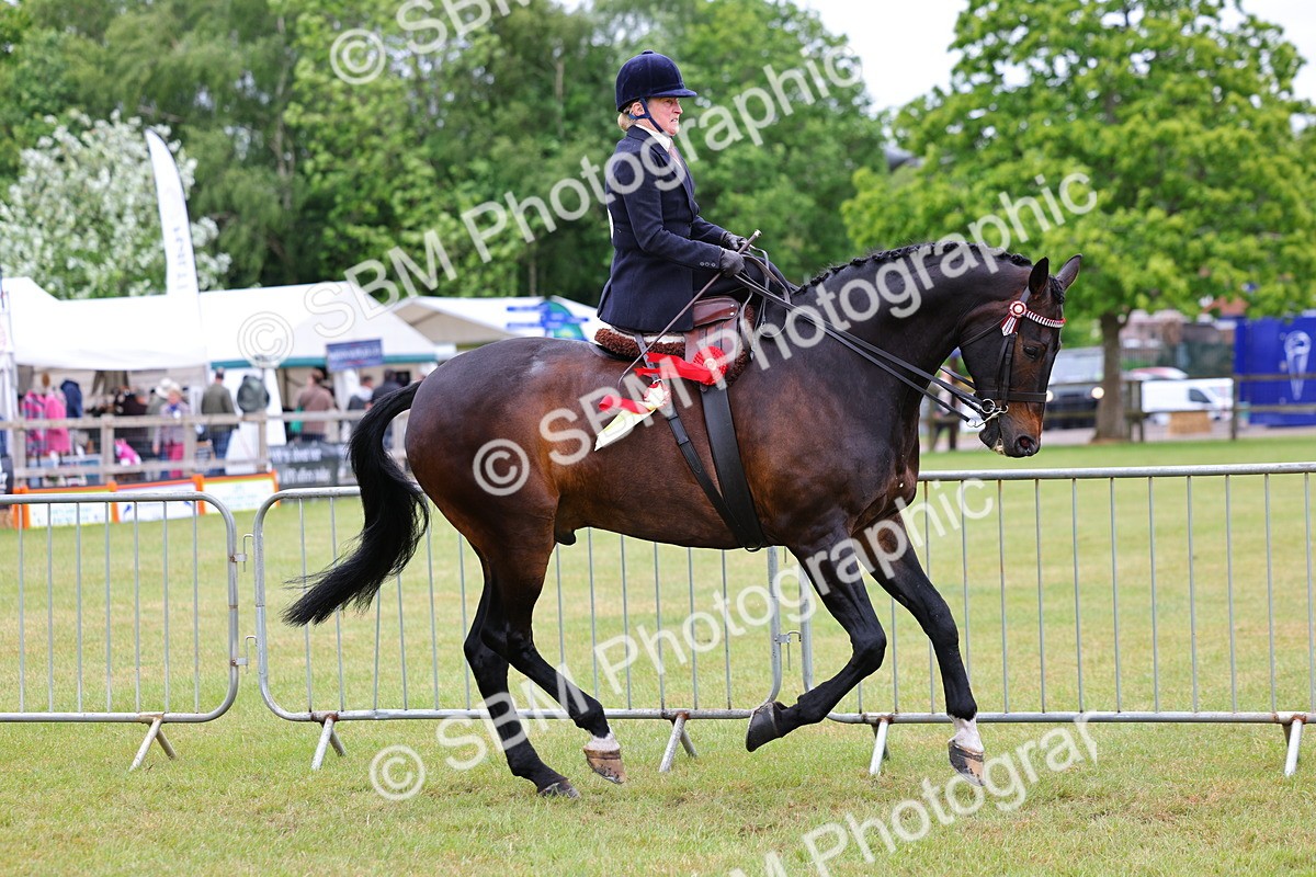 SBM_02882 - Class 9-11 Side Saddle including LIHS Rising Star Ladies Show Horse