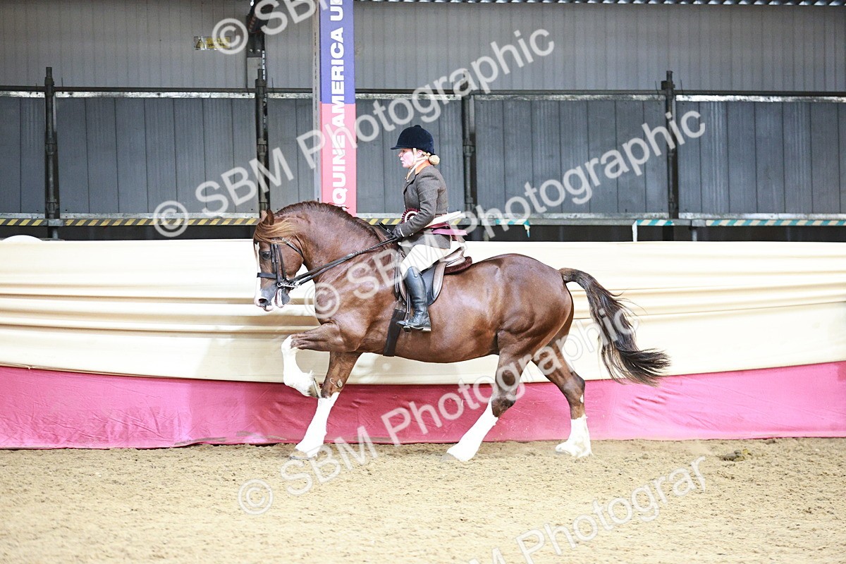 SBM_08665 - Regional Ridden Champ