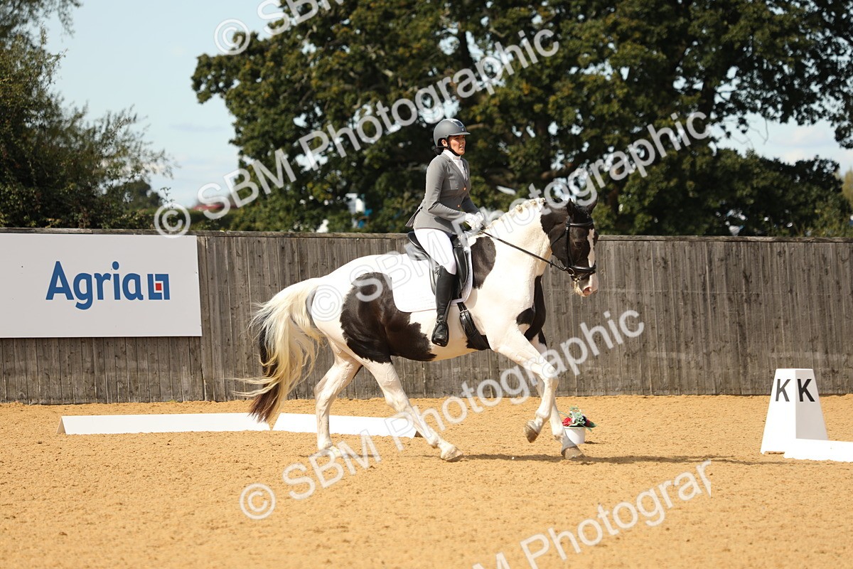 SBM_22233 - D17 - Grand Tour Championship - Novice 27