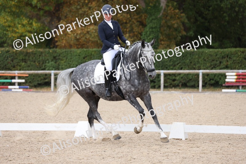 20250820-0813 - Class 15 - Novice 4