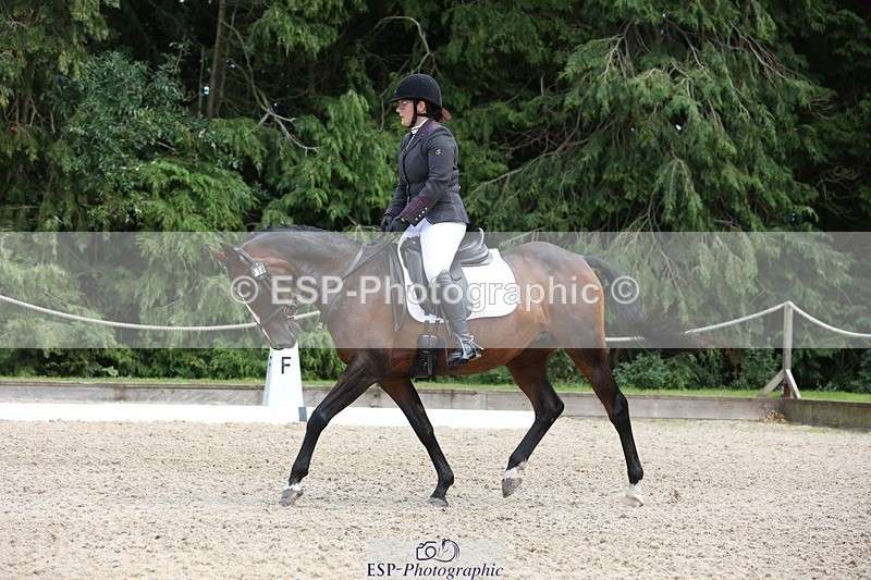 230812-135749-04352 - Cls 5 Novice Bronze 13.40 to 14.45 break