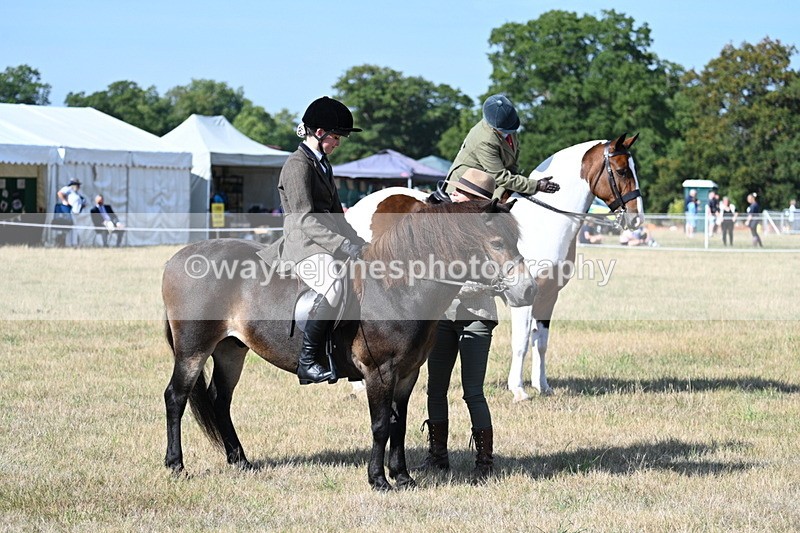 WJ7_2876 - Class 8 Ridden Tack & Turnout