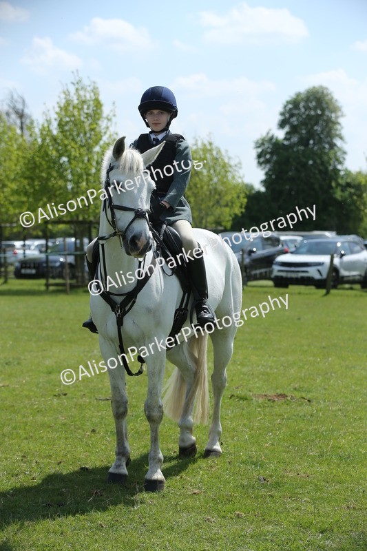 20250427-3432 - Class 8 - Handsomest Gelding
