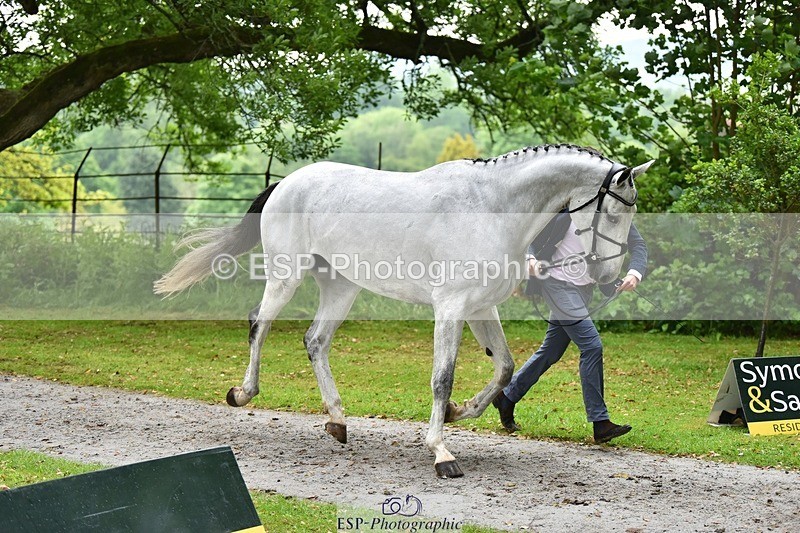 240522-162700-00925 - 207-IE_MR_MCGREGOR-Will_Furlong