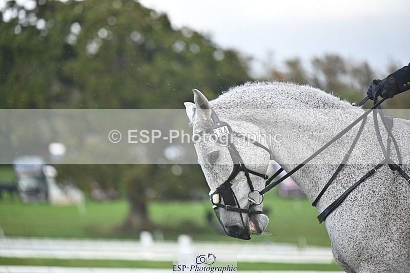 251024A-150205-13921 - E-394-Franki.Jarvis