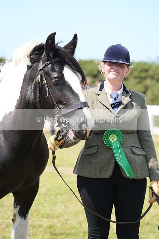 DSC07153 - Class 61: Coloured Horse 4yrs & Over